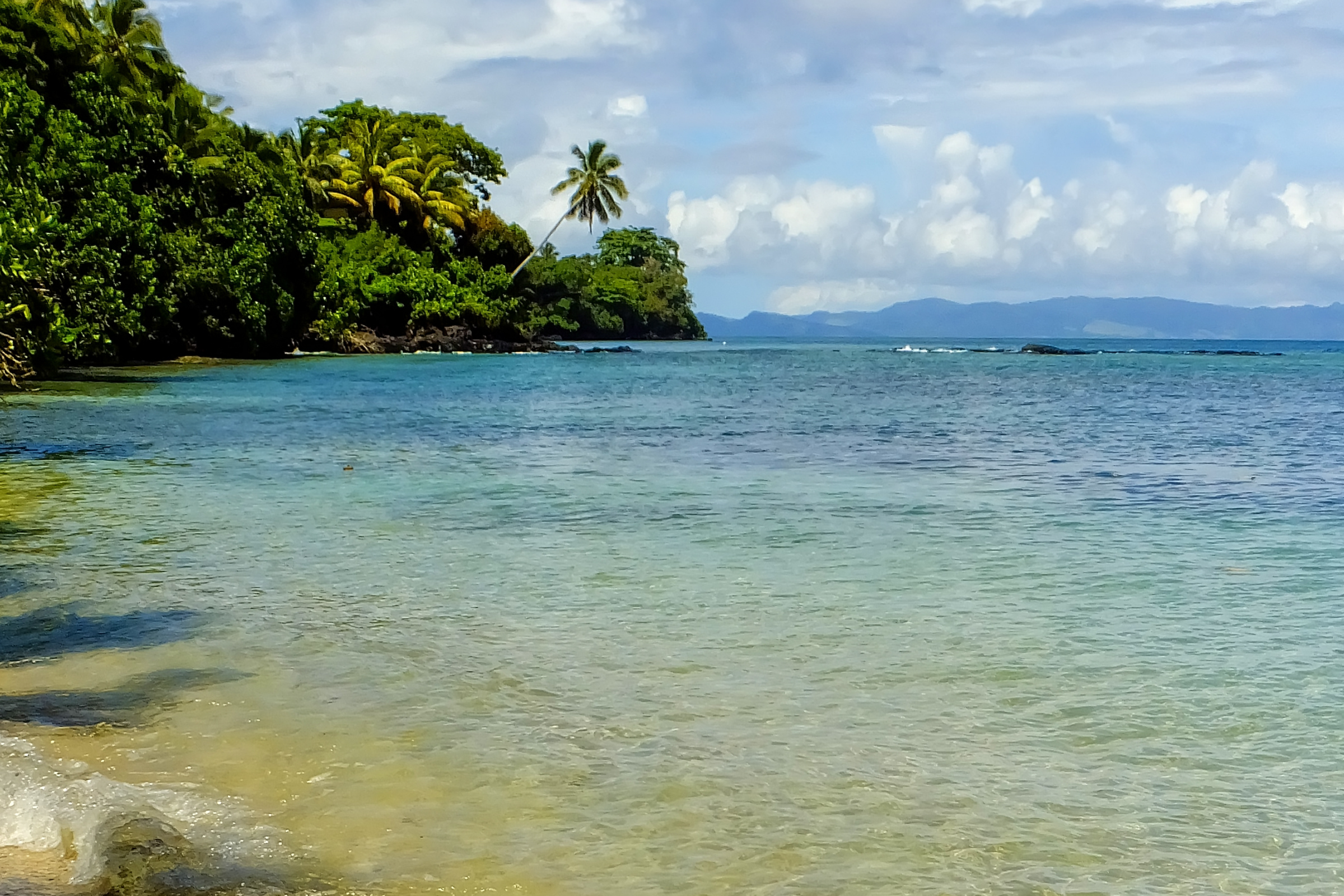 188 taveuni island.webp